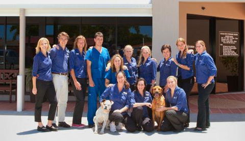 Irvine Melanie Dr - Vet Australia 0