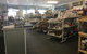 Coffs Coast Pets - thumb 2