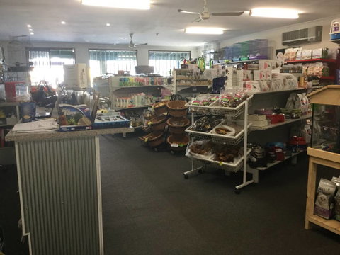 Coffs Coast Pets - Vet Australia 2