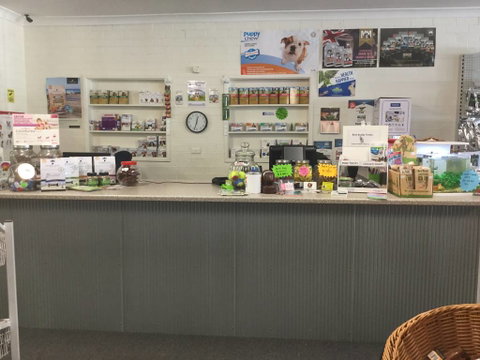 Coffs Coast Pets - Vet Australia 3