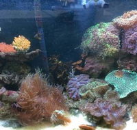 Rocky Pet World - Vet Australia