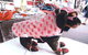 Margarets Dog Coats And Accessories - thumb 3