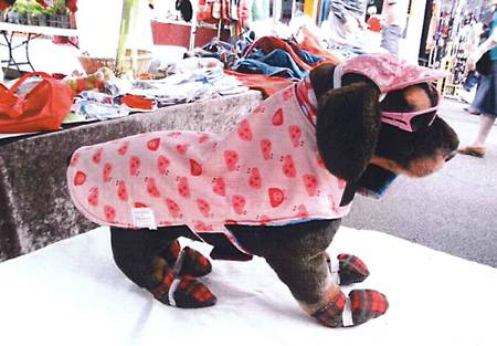 Margarets Dog Coats And Accessories - Vet Australia 3