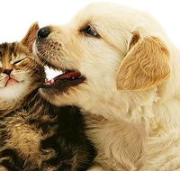 One Stop Pet Supplies - Vet Australia